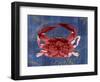 Nautical Crab 1-Albert Koetsier-Framed Premium Giclee Print