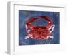 Nautical Crab 1-Albert Koetsier-Framed Premium Giclee Print