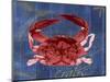 Nautical Crab 1-Albert Koetsier-Mounted Premium Giclee Print