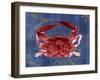 Nautical Crab 1-Albert Koetsier-Framed Art Print