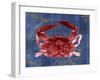 Nautical Crab 1-Albert Koetsier-Framed Art Print