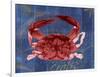 Nautical Crab 1-Albert Koetsier-Framed Art Print