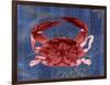 Nautical Crab 1-Albert Koetsier-Framed Art Print