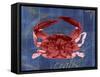 Nautical Crab 1-Albert Koetsier-Framed Stretched Canvas