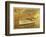 Nautical Escapes 6-Carlos Casamayor-Framed Giclee Print