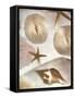 Nautical Illuminations No.1-Alan Blaustein-Framed Stretched Canvas