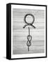 Nautical Knots 1-Kimberly Allen-Framed Stretched Canvas