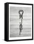 Nautical Knots 3-Kimberly Allen-Framed Stretched Canvas