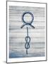 Nautical Knots Blue 1-Kimberly Allen-Mounted Art Print