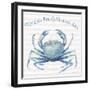 Nautical Life X-Lisa Audit-Framed Art Print