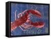 Nautical Lobster 1-Albert Koetsier-Framed Stretched Canvas