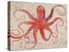 Nautical Octopus - Horizontal-Angela Staehling-Stretched Canvas