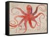 Nautical Octopus - Horizontal-Angela Staehling-Framed Stretched Canvas