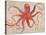 Nautical Octopus - Horizontal-Angela Staehling-Stretched Canvas