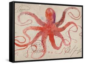 Nautical Octopus - Horizontal-Angela Staehling-Framed Stretched Canvas