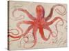 Nautical Octopus - Horizontal-Angela Staehling-Stretched Canvas