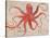 Nautical Octopus - Horizontal-Angela Staehling-Stretched Canvas