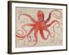 Nautical Octopus - Horizontal-Angela Staehling-Framed Premium Giclee Print