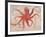 Nautical Octopus - Horizontal-Angela Staehling-Framed Premium Giclee Print