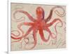 Nautical Octopus - Horizontal-Angela Staehling-Framed Premium Giclee Print