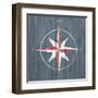 Nautical Plank III-Grace Popp-Framed Art Print