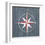 Nautical Plank III-Grace Popp-Framed Art Print