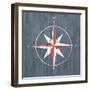 Nautical Plank III-Grace Popp-Framed Art Print