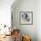 Nautical Rope-Karen Williams-Framed Giclee Print displayed on a wall