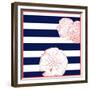 Nautical Sand Dollar-null-Framed Giclee Print