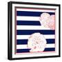 Nautical Sand Dollar-null-Framed Giclee Print