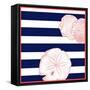 Nautical Sand Dollar-null-Framed Stretched Canvas