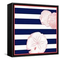 Nautical Sand Dollar-null-Framed Stretched Canvas