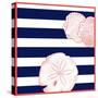Nautical Sand Dollar-null-Stretched Canvas