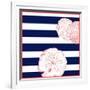 Nautical Sand Dollar-null-Framed Giclee Print