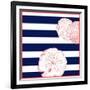 Nautical Sand Dollar-null-Framed Giclee Print