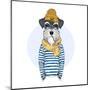 Nautical Schnauzer Dog Sailor-Olga_Angelloz-Mounted Art Print