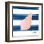 Nautical Shell I-Julie DeRice-Framed Art Print