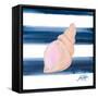 Nautical Shell I-Julie DeRice-Framed Stretched Canvas