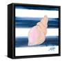Nautical Shell I-Julie DeRice-Framed Stretched Canvas