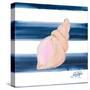 Nautical Shell I-Julie DeRice-Stretched Canvas