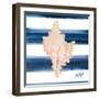 Nautical Shell II-Julie DeRice-Framed Art Print