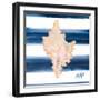 Nautical Shell II-Julie DeRice-Framed Art Print