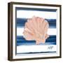 Nautical Shell III-Julie DeRice-Framed Art Print