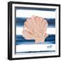 Nautical Shell III-Julie DeRice-Framed Art Print