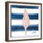 Nautical Shell IV-Julie DeRice-Framed Art Print