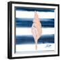 Nautical Shell IV-Julie DeRice-Framed Art Print