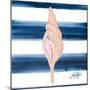 Nautical Shell IV-Julie DeRice-Mounted Art Print