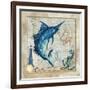 Nautical Swordfish-Jill Meyer-Framed Art Print