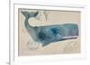 Nautical Whale - Horizontal-Angela Staehling-Framed Art Print