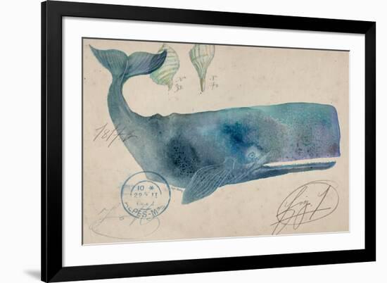 Nautical Whale - Horizontal-Angela Staehling-Framed Art Print